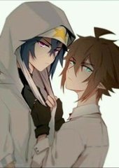 猫咪视频永久在线观看